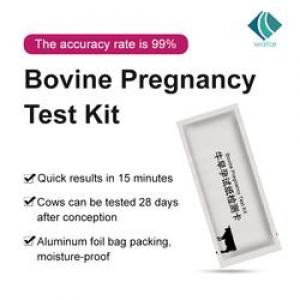 SC506 Bovine Cow Cattle Pregnancy Rapid Test Kit 